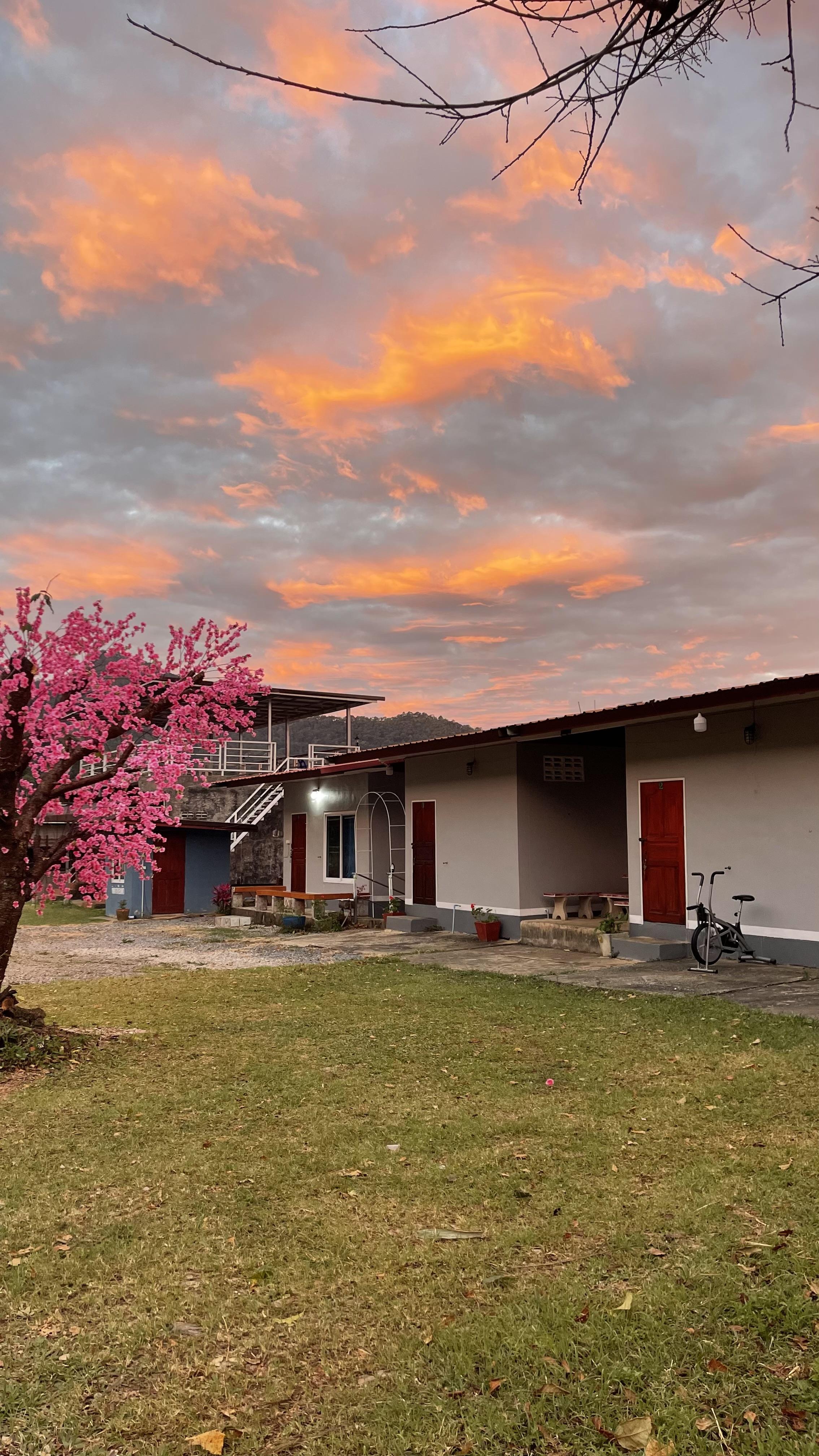 แสงดาวรีสอร์ท ภูชี้ดาว