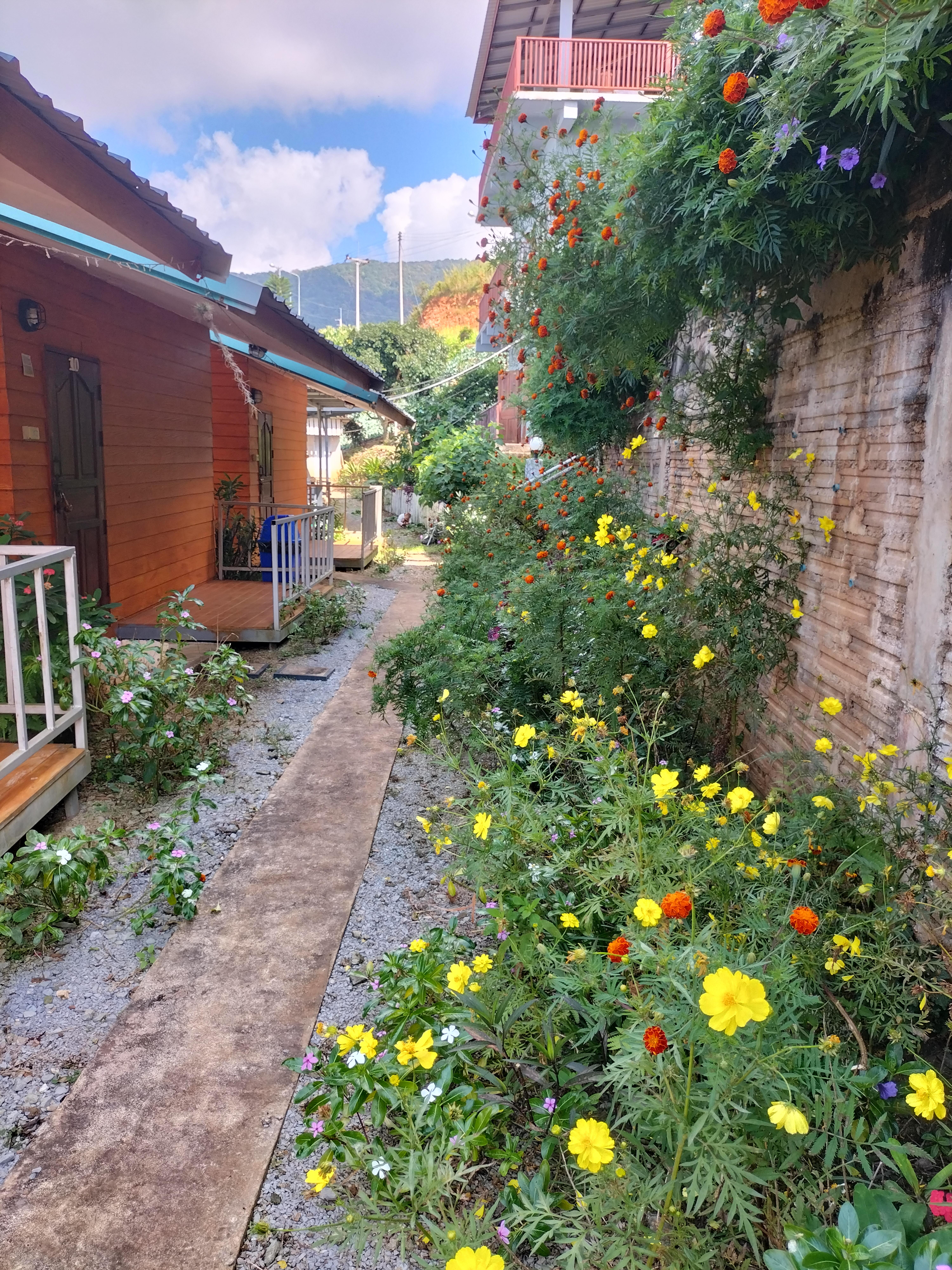 ภูชี้ดาวยอดวิว รีสอร์ท