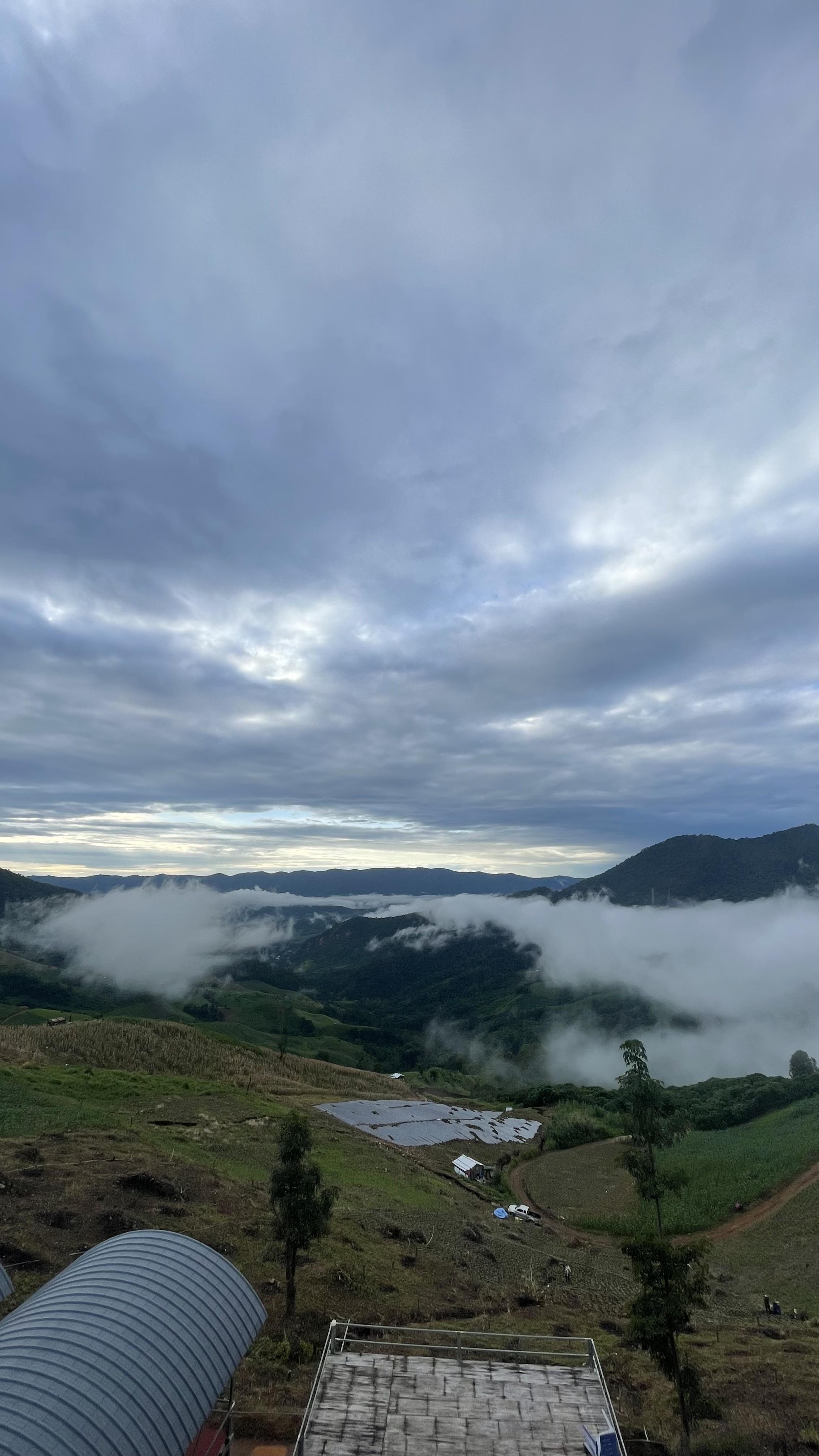 แสงดาวรีสอร์ท ภูชี้ดาว