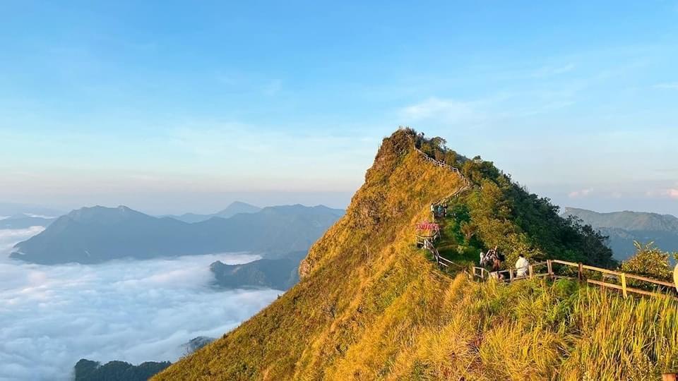 ภูชี้ดาวลานวิวรีสอร์ต