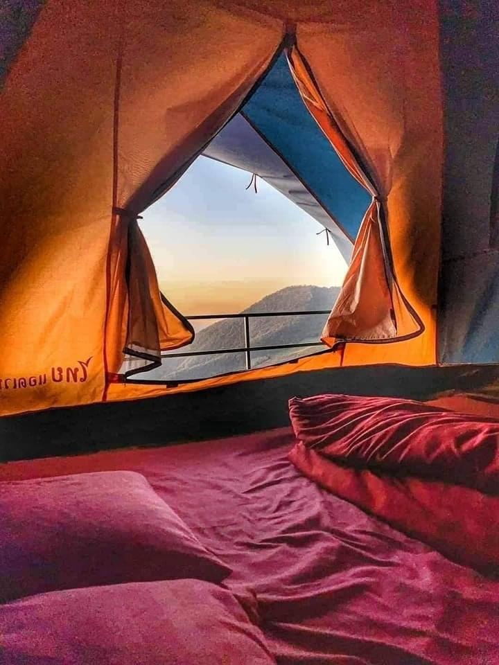 ภูชี้ดาวลานวิวรีสอร์ต