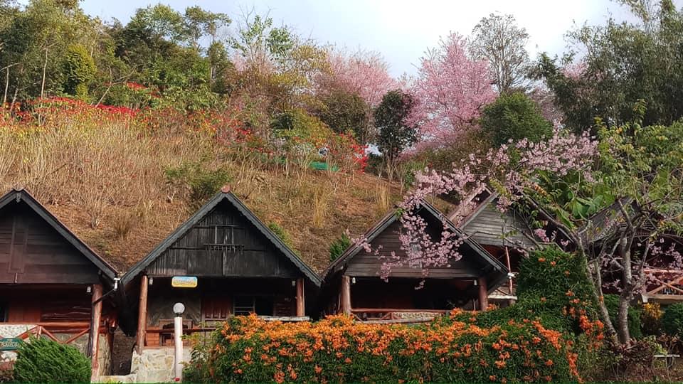 รีสอร์ต ภูชี้ฟ้า (ร่วมสรรค์สร้าง)